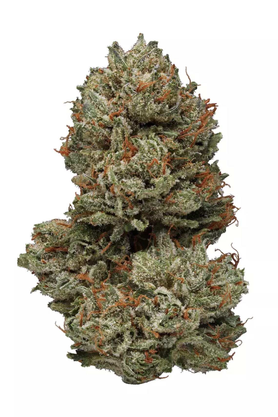 /storage/photos/1/Screenshot 2024-04-17 at 7.31.21 PM.png